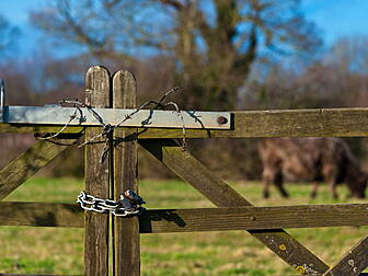 55% Of Farmers Have Been Victi...